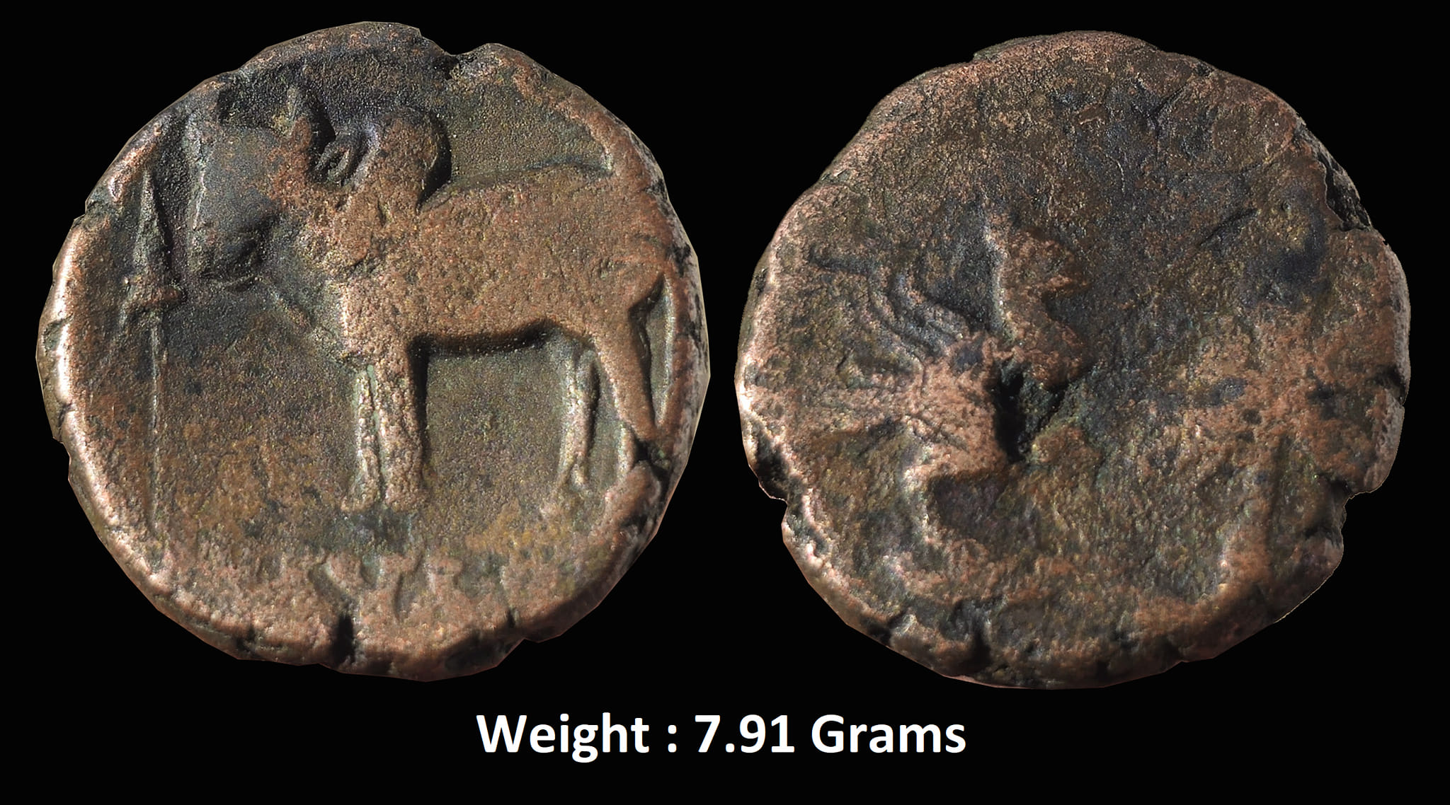 Ancient ; Kings of Ayodhya ; Satyamitra,
3rd century AD ; Rare
Weight : 7.91 Grams
Obverse: Bull standing left, with sacrificial spear to left and brahmi legend below.
Reverse: Peacock with Palm tree to right
Ref: MACW 4761; Pieper 1012