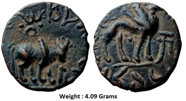 Ancient ; High grade Kushana KUJULA KADPHISES Tri-Chalkon having bull/Camel ..Greek nd khroshti around. Weight : 4.09 Grams