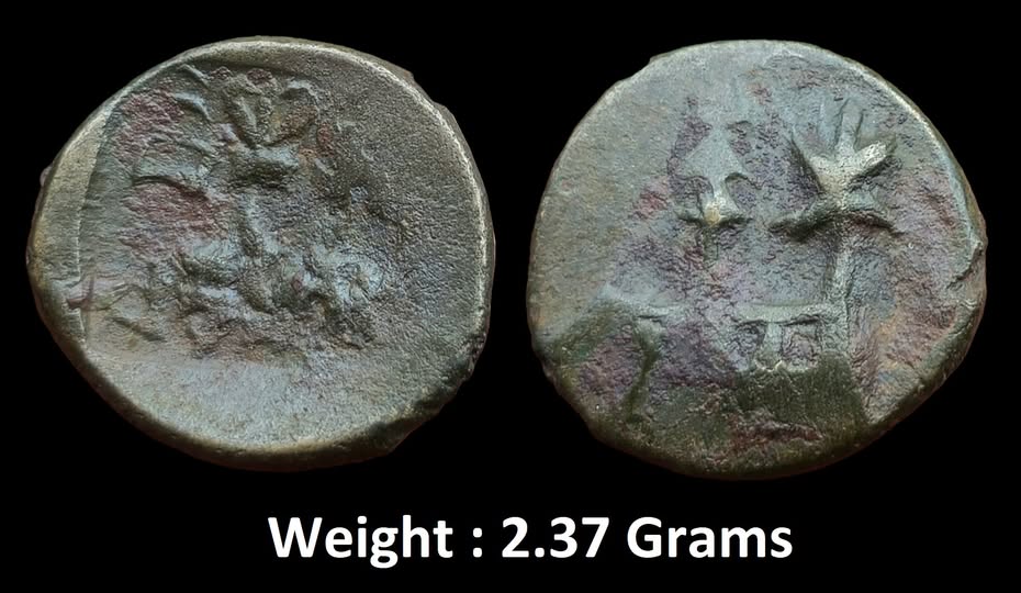 Ancient ; Panchala Dynasty ; Monarchical Coinage ; Yajnabala (100 CE), Alloyed Copper 1/4 Karshapana